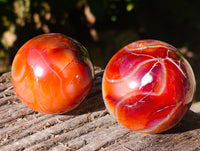 Polished Carnelian Spheres x 6 From Madagascar