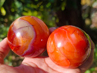 Polished Carnelian Spheres x 6 From Madagascar
