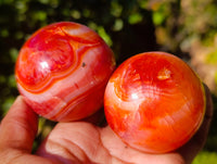 Polished Carnelian Spheres x 6 From Madagascar