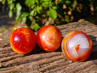Polished Carnelian Spheres x 6 From Madagascar