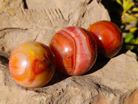 Polished Carnelian Spheres x 6 From Madagascar