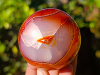 Polished Carnelian Spheres x 6 From Madagascar