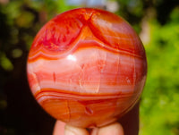 Polished Carnelian Spheres x 6 From Madagascar