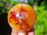 Polished Carnelian Spheres x 6 From Madagascar