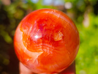 Polished Carnelian Spheres x 6 From Madagascar