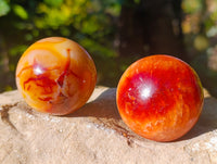 Polished Carnelian Spheres x 6 From Madagascar