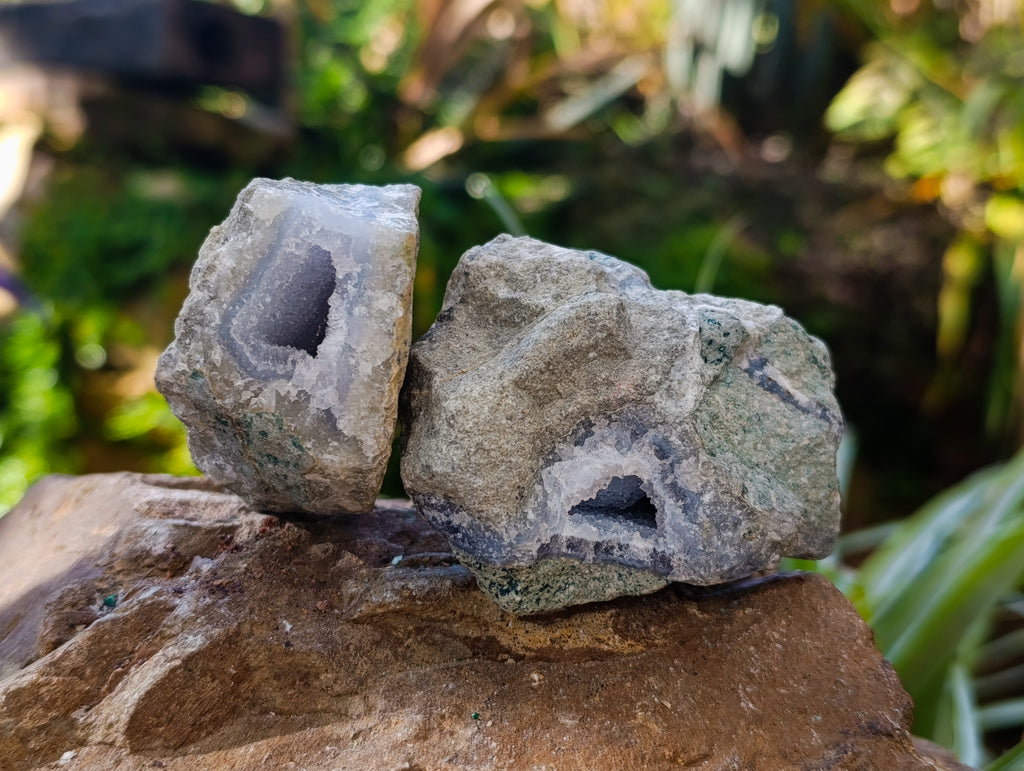 Natural Blue Lace Agate Geode Specimens x 24 From Nsanje, Malawi - Toprock Gemstones and Minerals 