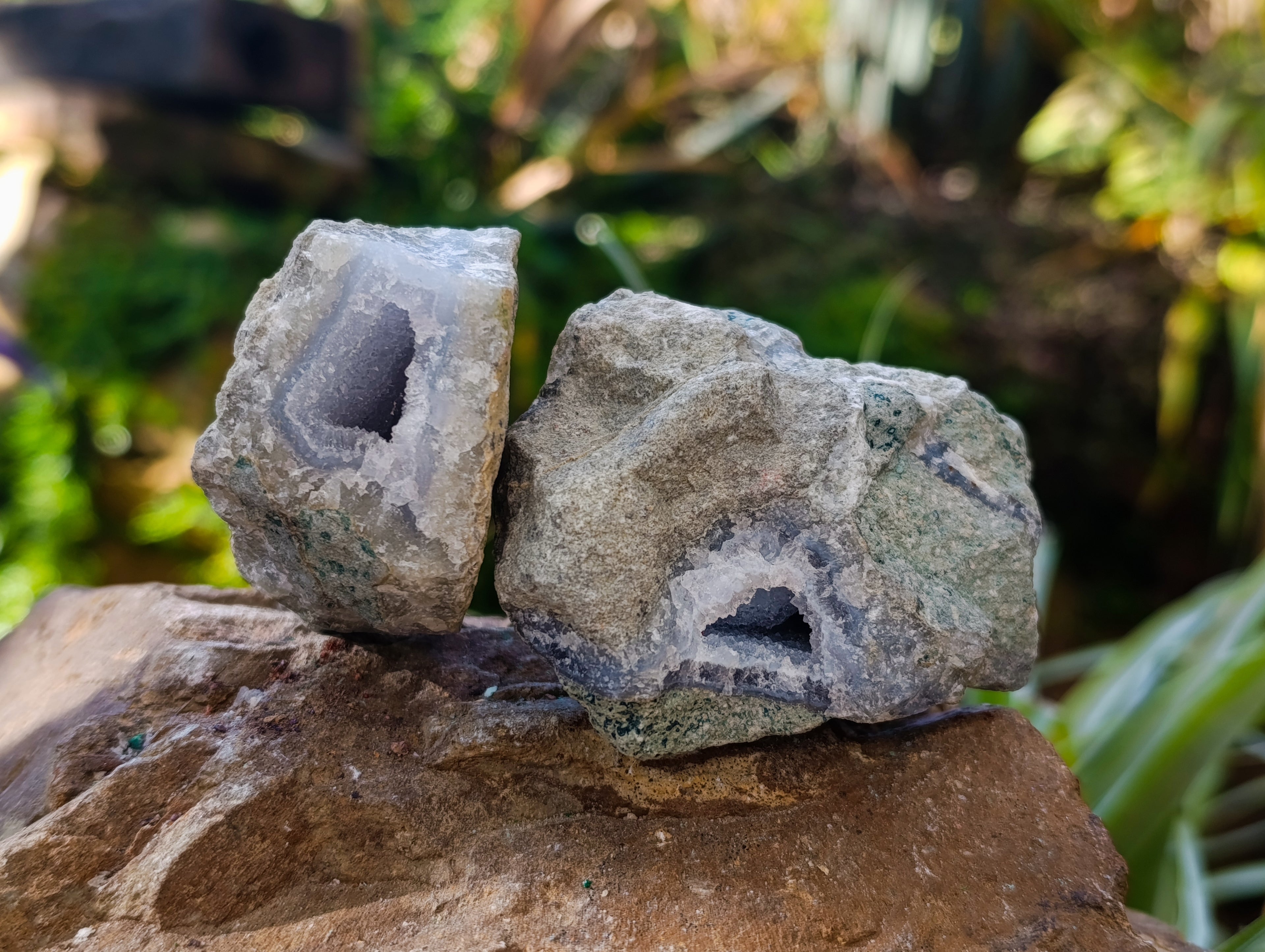 Natural Blue Lace Agate Geode Specimens x 24 From Nsanje, Malawi - Toprock Gemstones and Minerals 