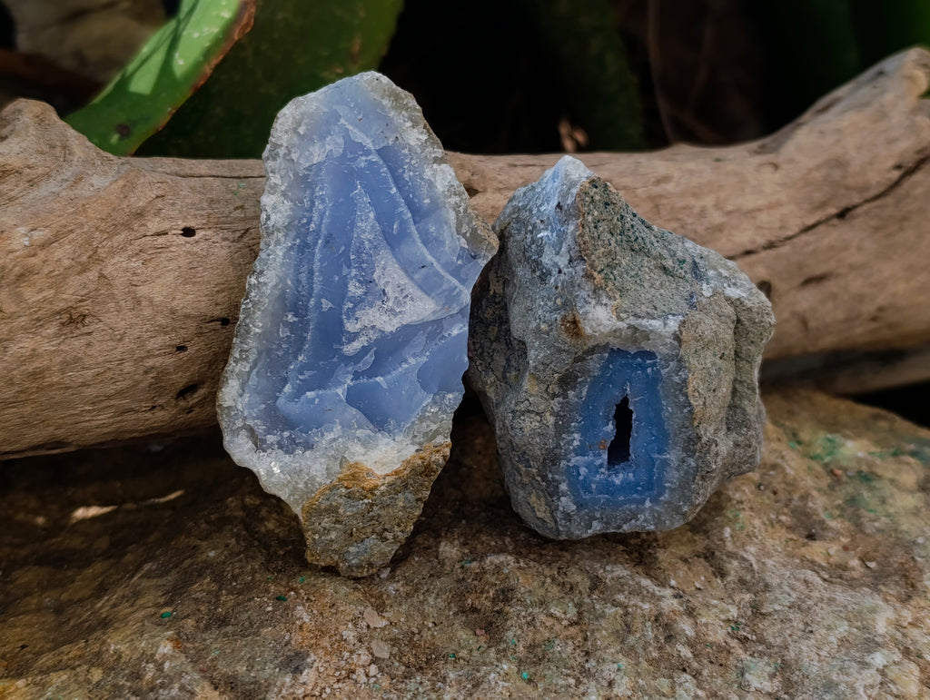 Natural Blue Lace Agate Geode Specimens x 24 From Nsanje, Malawi - Toprock Gemstones and Minerals 