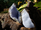 Natural Blue Lace Agate Geode Specimens x 24 From Nsanje, Malawi - Toprock Gemstones and Minerals 