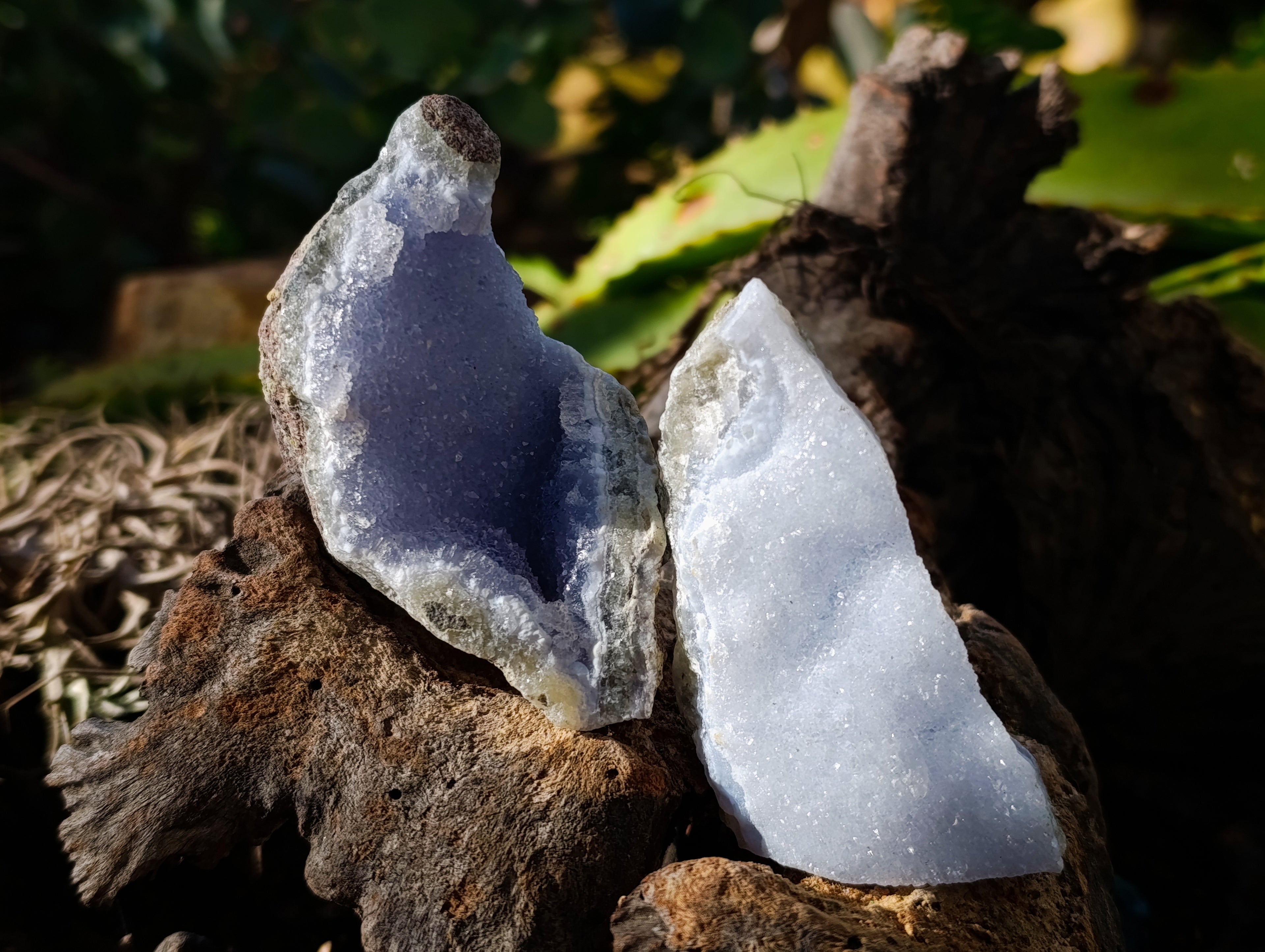 Natural Blue Lace Agate Geode Specimens x 24 From Nsanje, Malawi - Toprock Gemstones and Minerals 