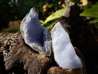 Natural Blue Lace Agate Geode Specimens x 24 From Nsanje, Malawi