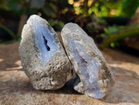 Natural Blue Lace Agate Geode Specimens x 24 From Nsanje, Malawi