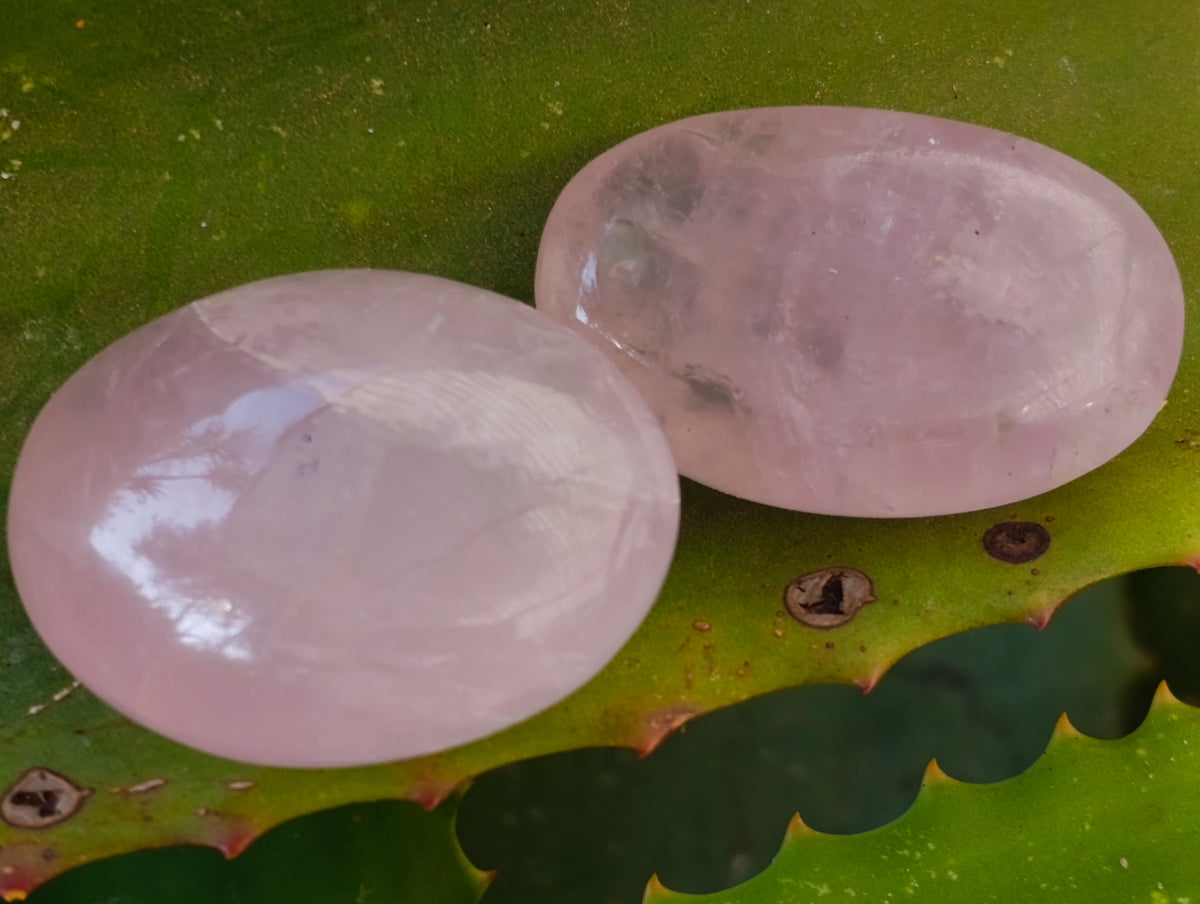 Polished Rose Quartz Palm Stones x 35 From Ambatondrazaka, Madagascar - Toprock Gemstones and Minerals 