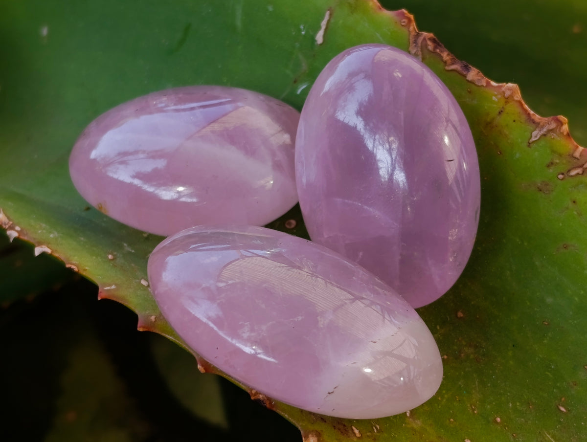 Polished Rose Quartz Palm Stones x 35 From Ambatondrazaka, Madagascar - Toprock Gemstones and Minerals 