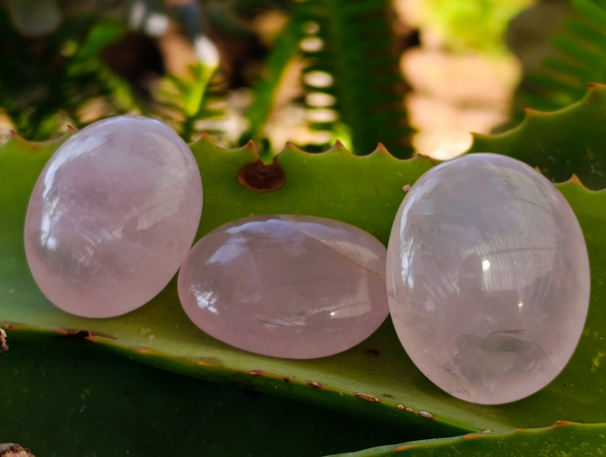 Polished Rose Quartz Palm Stones x 35 From Ambatondrazaka, Madagascar - Toprock Gemstones and Minerals 