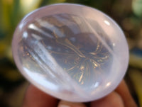 Polished Rose Quartz Palm Stones x 35 From Ambatondrazaka, Madagascar - Toprock Gemstones and Minerals 