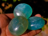 Polished Green Fluorite Palm Stones x 20 From Madagascar