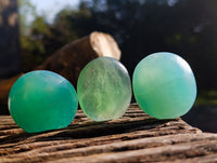 Polished Green Fluorite Palm Stones x 20 From Madagascar
