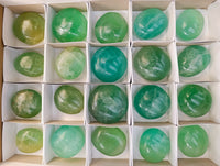 Polished Green Fluorite Palm Stones x 20 From Madagascar