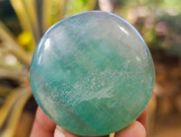 Polished Green Fluorite Palm Stones x 20 From Madagascar