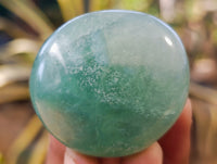 Polished Green Fluorite Palm Stones x 20 From Madagascar