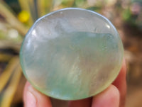 Polished Green Fluorite Palm Stones x 20 From Madagascar