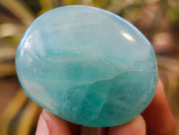 Polished Green Fluorite Palm Stones x 20 From Madagascar