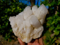 Natural White Phantom Quartz Clusters x 2 From Madagascar