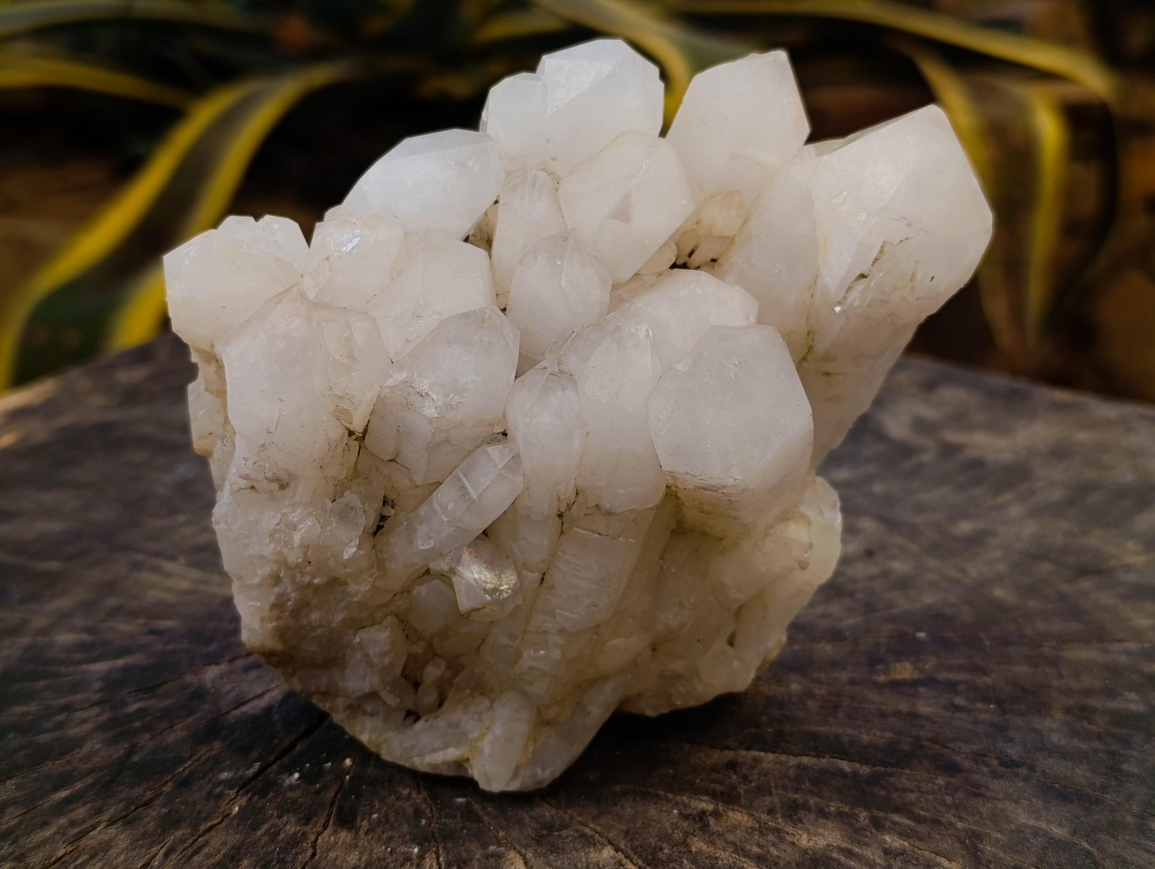 Natural White Phantom Quartz Clusters x 2 From Madagascar - Toprock Gemstones and Minerals 