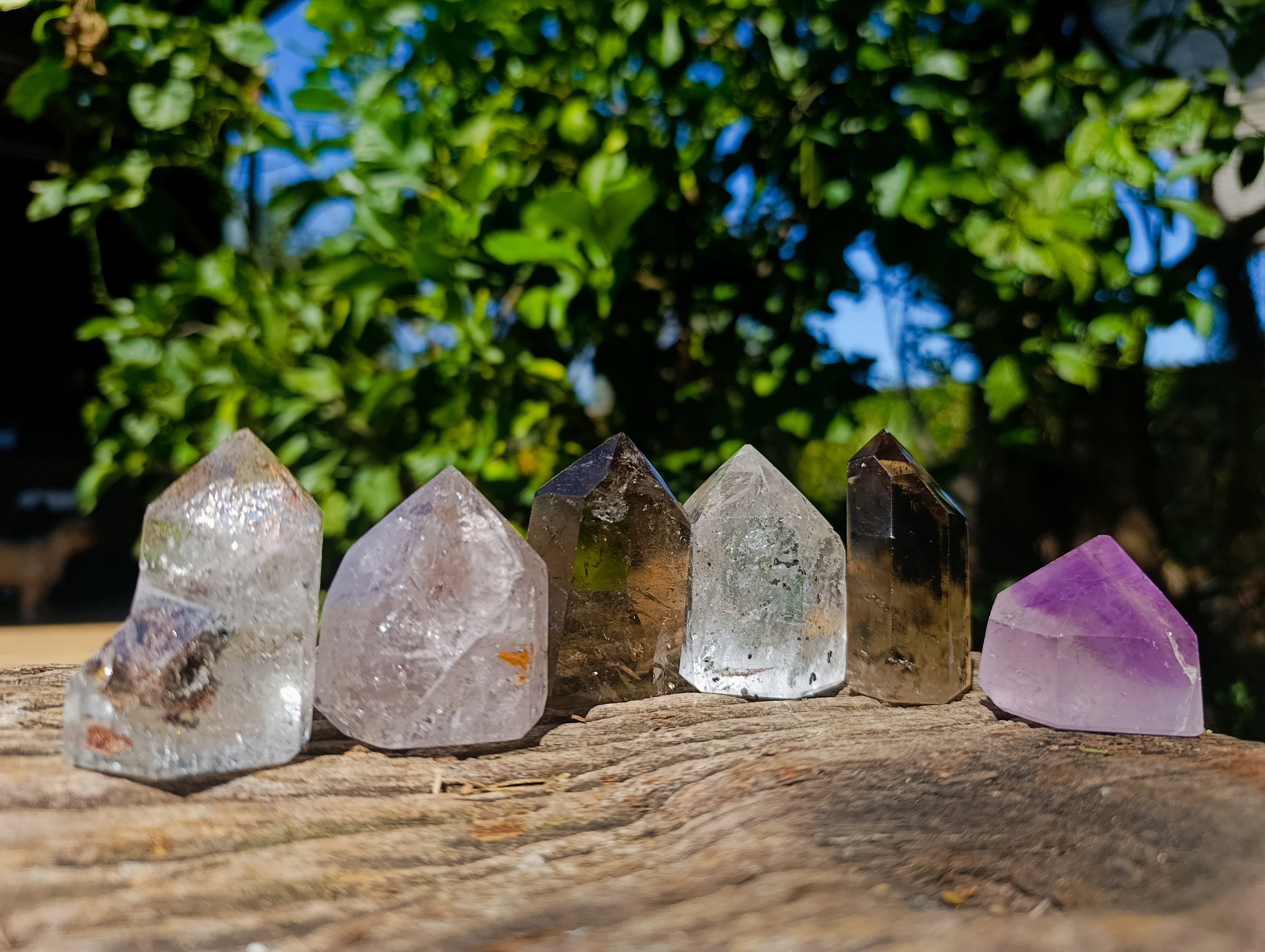 Polished Mix of Selected Points x 6 From Madagascar - Toprock Gemstones and Minerals 