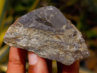 Natural Rare Pharaoh Stone Pyrite Cobbed Specimens x 12 Iron Duke Mine, Zimbabwe