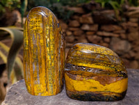Polished Neolite Standing Free Forms x 4 From Prieska, South Africa