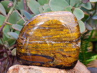 Polished Neolite Standing Free Forms x 4 From Prieska, South Africa