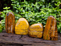Polished Neolite Standing Free Forms x 4 From Prieska, South Africa