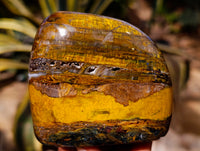 Polished Neolite Standing Free Forms x 4 From Prieska, South Africa