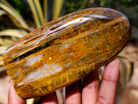Polished Neolite Standing Free Forms x 4 From Prieska, South Africa