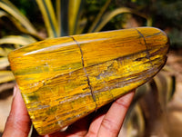 Polished Neolite Standing Free Forms x 4 From Prieska, South Africa