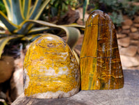 Polished Neolite Standing Free Forms x 4 From Prieska, South Africa
