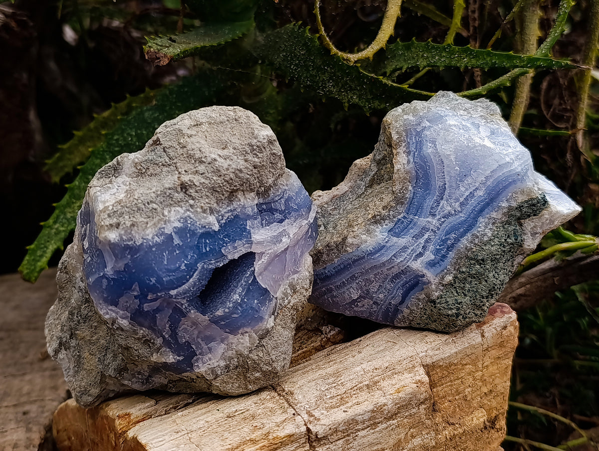 Natural Blue Lace Agate Geode Specimens x 3 From Nsanje, Malawi - Toprock Gemstones and Minerals 
