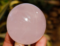 Polished Gemmy Star Rose Quartz Spheres x 6 From Ambatondrazaka, Madagascar