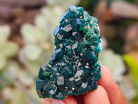 Natural Dioptase On Dolomite Specimens x 12 From Likasi, Congo - Toprock Gemstones and Minerals 