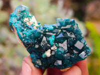 Natural Dioptase On Dolomite Specimens x 12 From Likasi, Congo - Toprock Gemstones and Minerals 