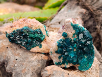 Natural Dioptase On Dolomite Specimens x 12 From Likasi, Congo - Toprock Gemstones and Minerals 