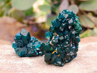 Natural Dioptase On Dolomite Specimens x 12 From Likasi, Congo - Toprock Gemstones and Minerals 