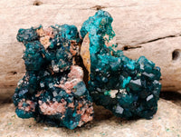Natural Dioptase On Dolomite Specimens x 12 From Likasi, Congo - Toprock Gemstones and Minerals 