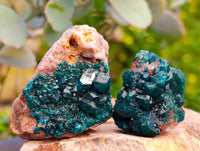 Natural Dioptase On Dolomite Specimens x 12 From Likasi, Congo - Toprock Gemstones and Minerals 
