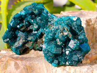 Natural Dioptase On Dolomite Specimens x 12 From Likasi, Congo - Toprock Gemstones and Minerals 