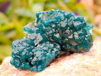 Natural Dioptase On Dolomite Specimens x 12 From Likasi, Congo - Toprock Gemstones and Minerals 