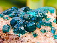 Natural Dioptase On Dolomite Specimens x 12 From Likasi, Congo - Toprock Gemstones and Minerals 